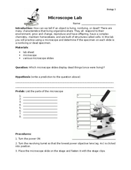 Preview of Microscope Lab