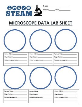 Preview of Microscope Lab Worksheet