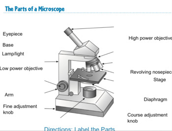 Preview of Microscope Labeling Activity - SMART Board Activity - Interactive Review