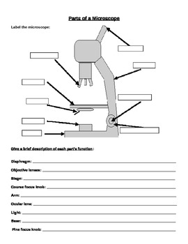 Preview of Microscope Labeling and Magnification Worksheet