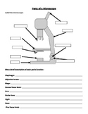 Microscope Labeling and Magnification Worksheet