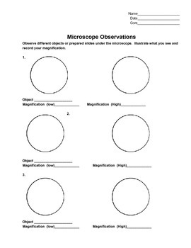 Microscope Observation Lab Sheet by Mrs Ruff | Teachers Pay Teachers