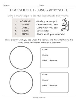 how to draw what you see in a microscope