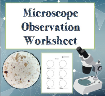Microscope Observation Worksheet by Geekology Teachers Pay Teachers