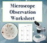 Microscope Observation Worksheet