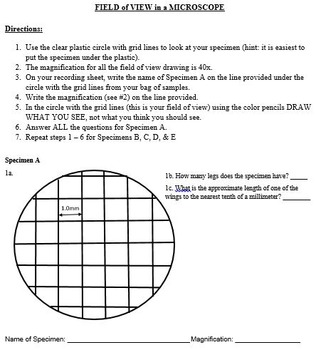 Calculating Field Of View Microscope Worksheet