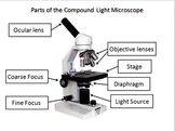 Microscope PowerPoint Introduction Lesson