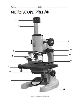 Microscope Lab by Biology Roots | TPT