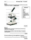 Microscope Quiz