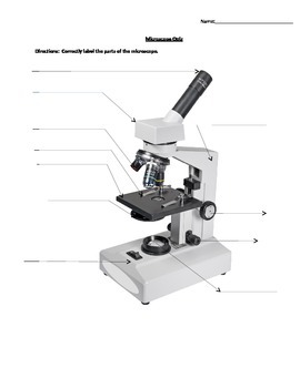 Microscope Quiz by Mister B Science Shop | TPT