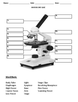 Preview of Microscope Quiz