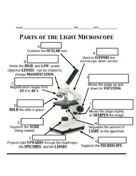 Microscope Quiz by TheBiologyBee | Teachers Pay Teachers