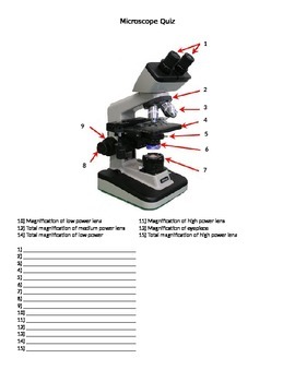Microscope Quiz/Worksheet by Everything Science and Beyond | TpT