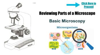 Preview of Microscope Simulation (Virtual Lab/Virtual Microscope)