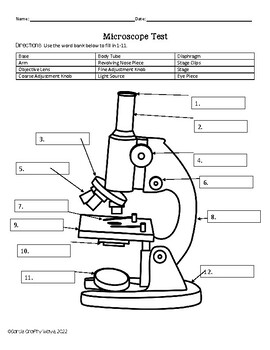 Microscope Test by Scientific Sass | Teachers Pay Teachers