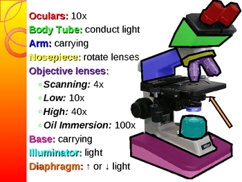Preview of Microscope Use and Care
