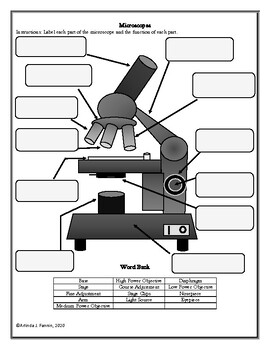 Microscope Word Search - Crossword - Vocabulary Worksheets - PDF