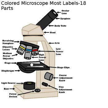 Microscopes Clip Art PERSONAL USE ONLY by ScienceandSunshine7 | TPT