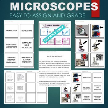 Preview of Microscopes (Compound, Scanning, Transmission) Sort & Match STATIONS Activity