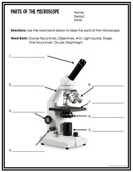 Microscope Worksheets by Science Lessons That Rock | TpT