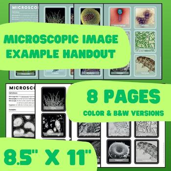 Preview of Microscopic Image Example Handout - Color and B&W Versions - 8.5" x 11"