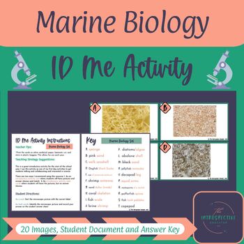 Preview of Microscopic Image Identification Activity Marine Biology Set (ID Me Activity)