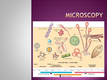 Preview of Microscopy- Comparative sizes