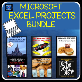 Preview of Microsoft EXCEL Activities - 6 PROJECTS!