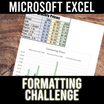 Preview of Microsoft Excel Formatting Practice Challenge | Fills, Alignment, Borders, etc.