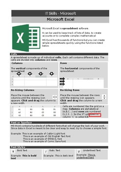 Preview of Microsoft Excel - basic functions handout