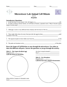 Preview of Microviewer Lab Animal Cell Mitosis