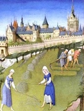 Middle Ages & Medieval Society "Dynamic" PowerPoint