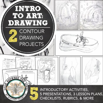 Preview of Middle, High School Introduction to Art Beginning Drawing: Contour Line Unit