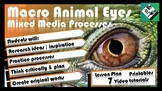 Middle School Art Project: Macro Animal Eyes (Mixed Media)