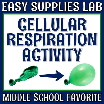 Preview of Middle School Cellular Respiration Activity Lab NGSS MS-LS1-6