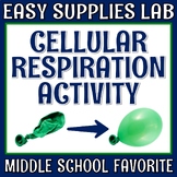 Middle School Cellular Respiration Activity Lab NGSS MS-LS1-6