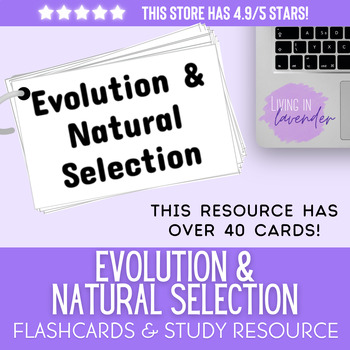 Preview of Middle School Evolution & Natural Selection Test Prep: Flashcards