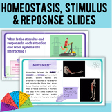 Middle School Interacting Body Systems: Stimulus & Respons