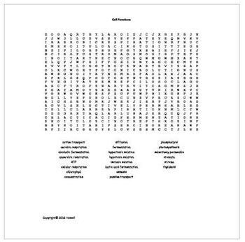 Preview of Middle School Life Science Word Search Bundle for Distance Learning