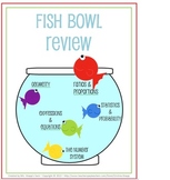 Middle School Math Fish Bowl Review ~ For the Common Core