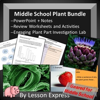 Preview of Plant Bundle -- Plant Parts Lab Investigation, Notes, Worksheets, Webquests