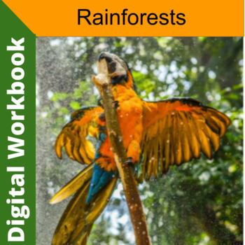 Preview of Rainforest Workbook for Middle school PDF and Google Doc
