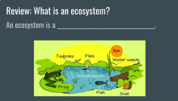 Preview of Middle School Special Education Ecosystems Unit (Supplemental Folder)