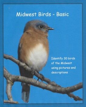 Midwest Birds - Basic by Tom Ellsworth | TPT