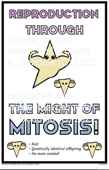 Preview of Mighty Mitosis anchor chart poster