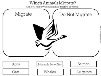 Animal Migration Worksheet Activity Kindergarten 1st 2nd 3rd Grade Science