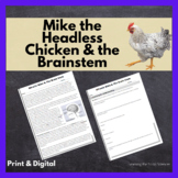 Mike the Headless Chicken & the Brain Stem 1 Page Reading: