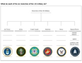Military Branches Tree Map