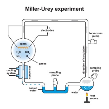 Preview of Miller And Urey Experiment.