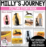 Milly's Journey - Picture Story Book